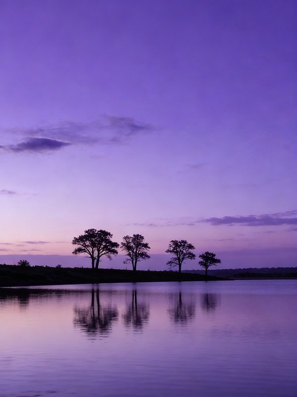 Login background image 3
